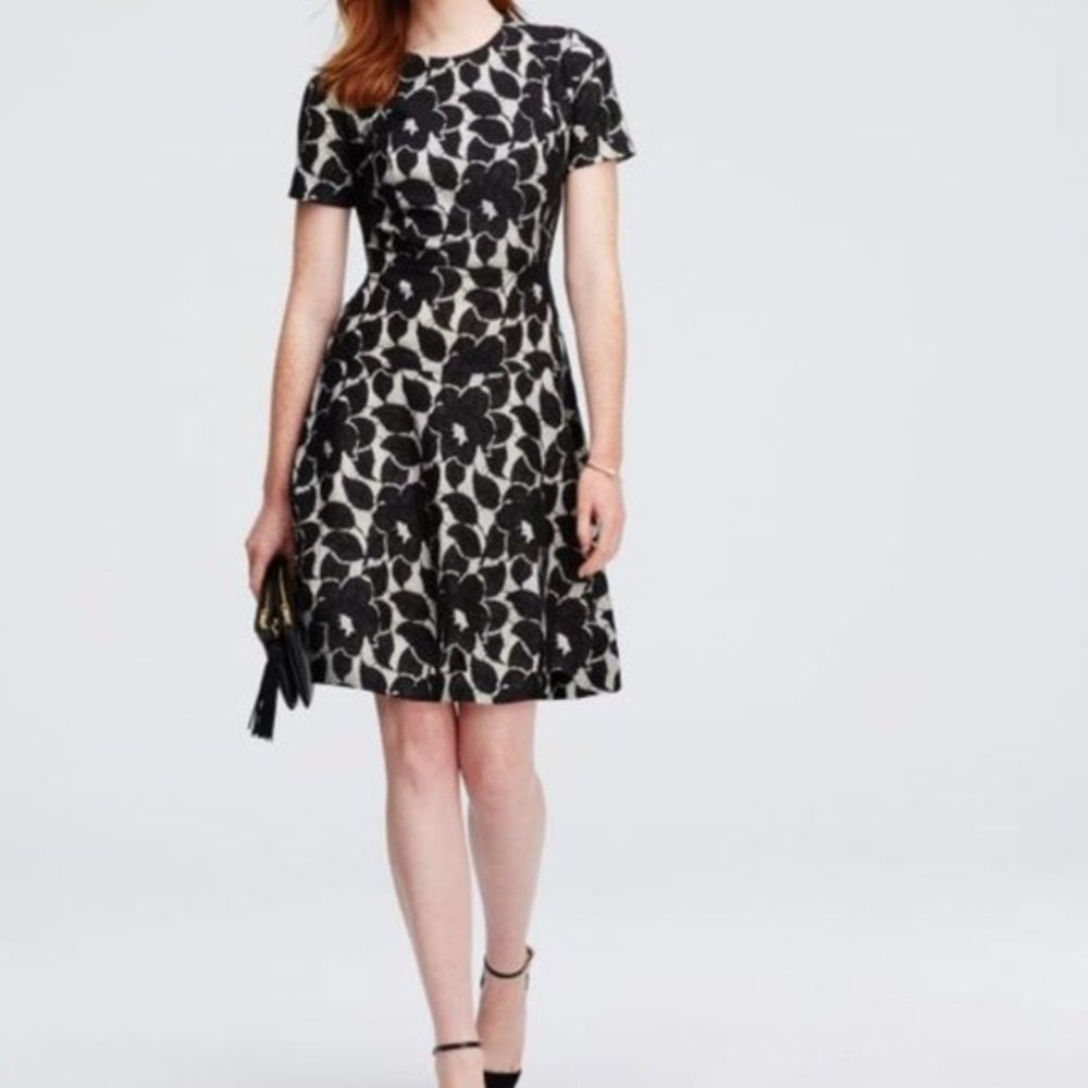Ann Taylor Bonded Black Lace Flare Dress - Picture 2 of 10